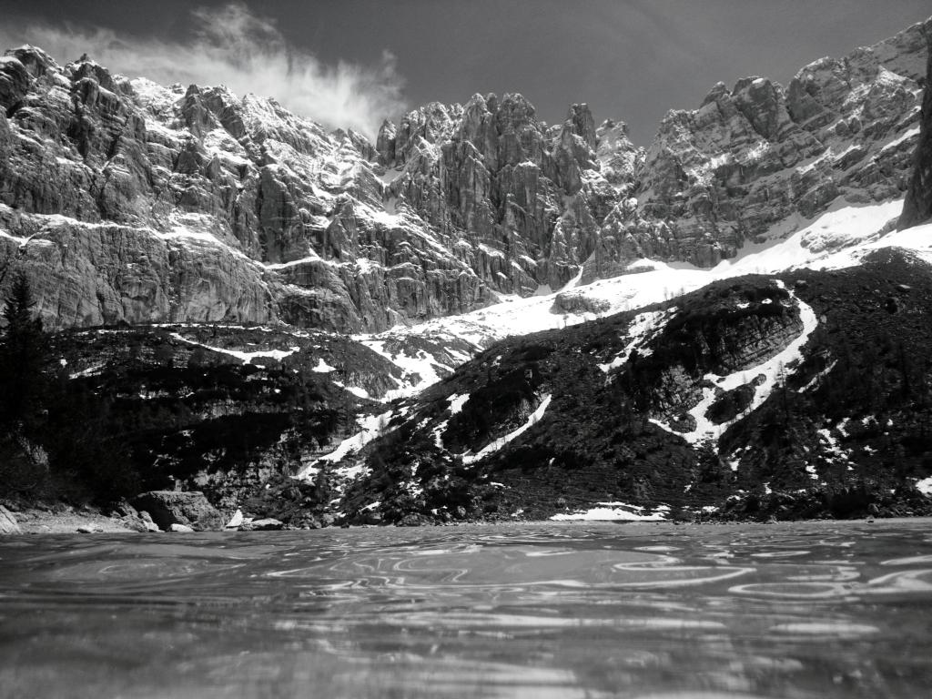 Alexroland2Alex's tweet photo. #PhotoBootcamp #Canonaustralia #Blackandwhite https://t.co/njm0octn9p