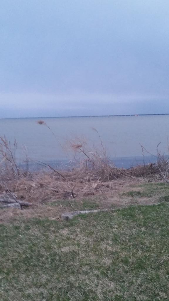lana_014's tweet photo. I love nature 😍🍃🌲🌸🌊 https://t.co/HjPOp6GW2h