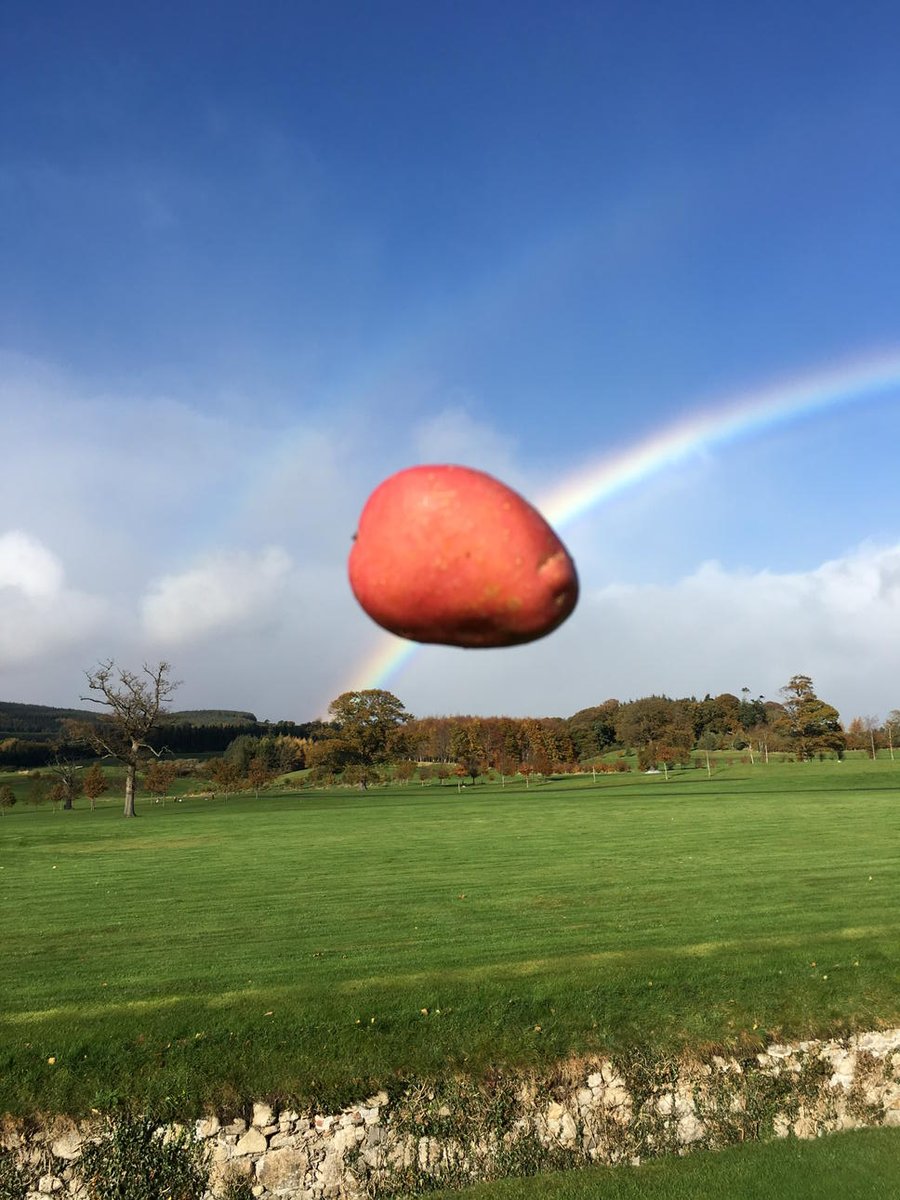 Potato Rainbows. It's a thing in Ireland. <a href="/kevinabosch/">Kevin Abosch</a>