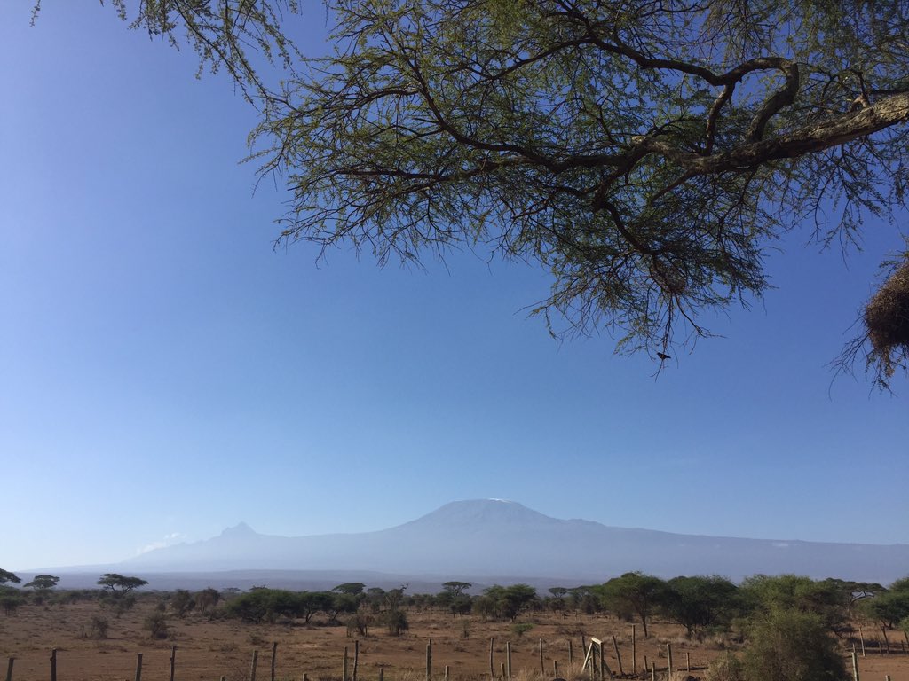 Niick254's tweet photo. Mt. Kilimanjaro view is crazy..

Fucking amazing!!!! #Views #Sentrim https://t.co/OsFNSeA9N0