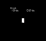 画像 / Picture