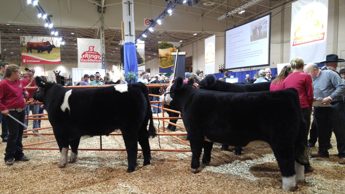 MyBitsandBleeps's tweet photo. Ring of Excellence. @GoodinGrain @GoodinEveryGrain #ONgrain https://t.co/YJ7YL6hswZ