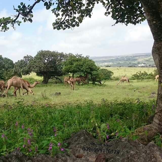 aabbaa446's tweet image. 