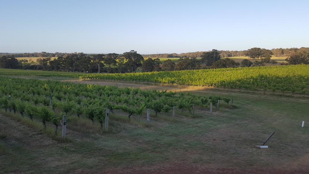 MRwineBoy's tweet photo. The end of a busy weekend in #margetriver @WillespieMR #wine #paradise https://t.co/P2n2m7hRRI