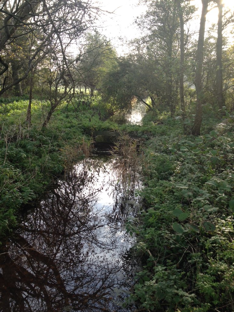 Bron: Ronald Sunnotel