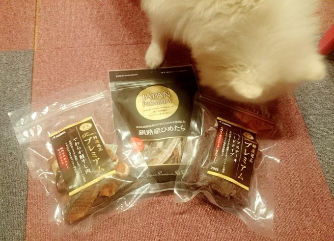 ワン子が大好きなプレミアムシリーズのお魚とステーキ(,,> <,,)♡ いまからヘッドスパにいって癒やされてくる*｡٩(ˊvˋ*)و✧*｡ https://t.co/bkRqvKZgVw