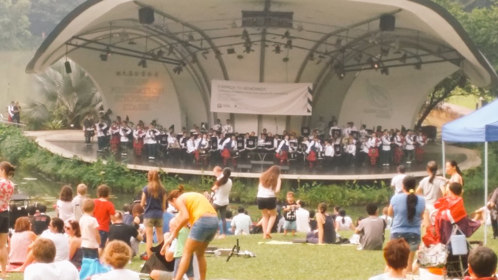 LadyHarini's tweet photo. #pinicinthepark....we have it too...#botanicalgardenSingapore https://t.co/5xKep9zj5g