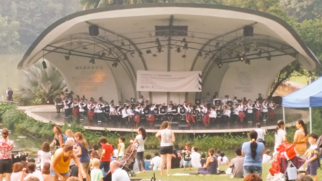 LadyHarini's tweet photo. #pinicinthepark....we have it too...#botanicalgardenSingapore https://t.co/5xKep9zj5g