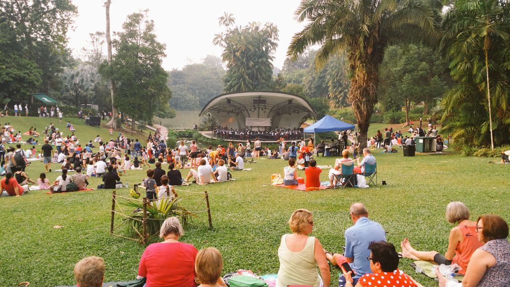 LadyHarini's tweet photo. #pinicinthepark....we have it too...#botanicalgardenSingapore https://t.co/5xKep9zj5g