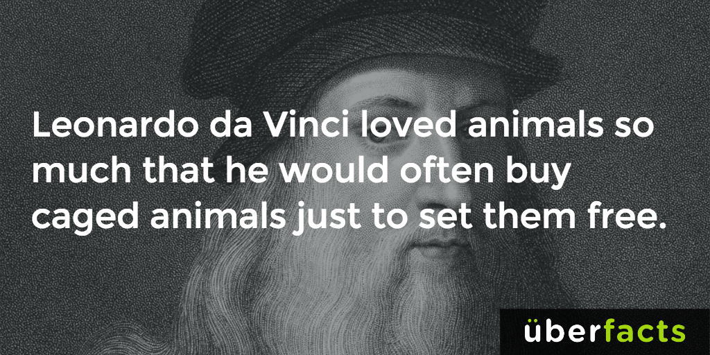 Awesome. 

instagram.com/uberfacts