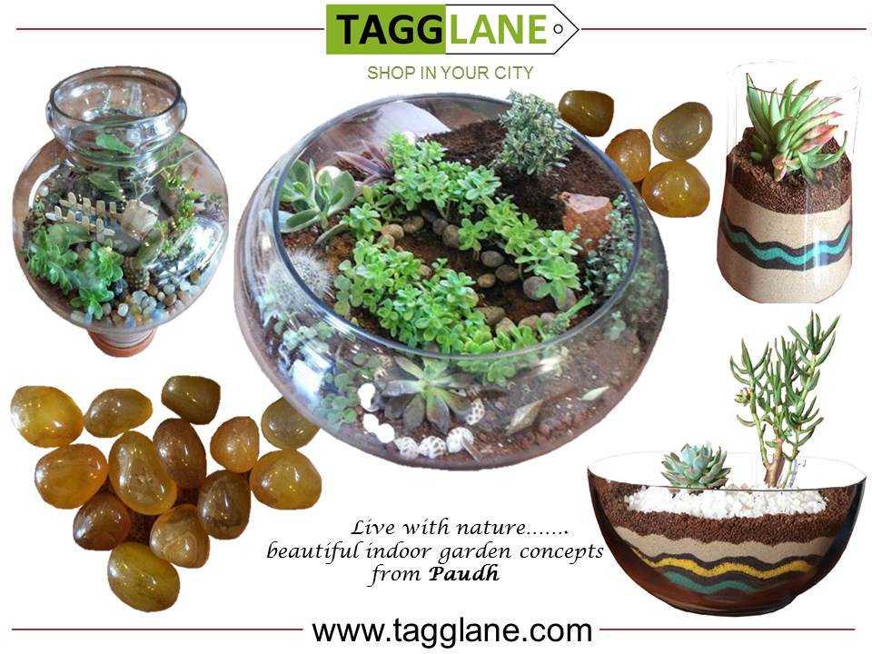 poojapai7's tweet photo. #shopping local for your #homeinteriors in #Bangalore ? Visit https://t.co/JhE1iaoGaY #Indian #startup #indoorgarden https://t.co/Wu3ZmxR45t