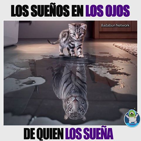 Imayri's tweet image. Exactamente !