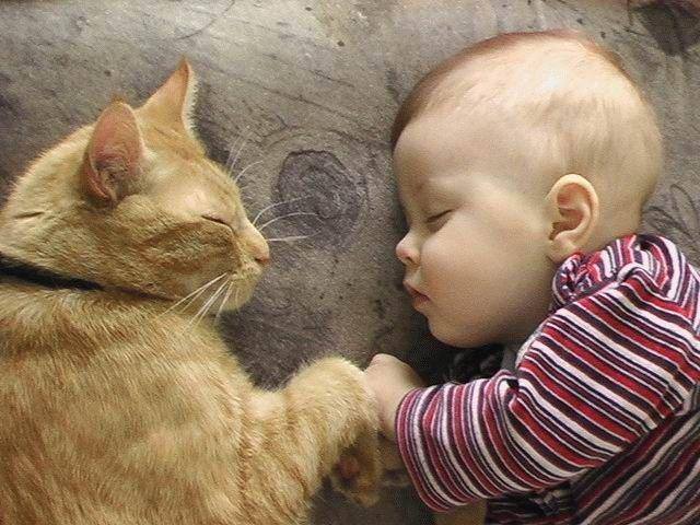 Ecogranjero's tweet photo. Enseñemos a nuestros hijos desde pequeños a amar a los animales. https://t.co/YmNLMGDfG7