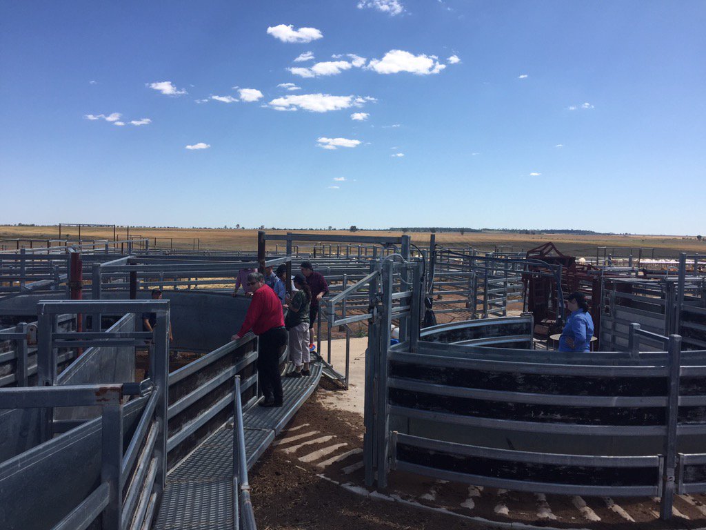LabelConvo2015's tweet photo. @bellevueluck feedlot tour checking out the loading out &amp; induction facilities #onelabel #ontour https://t.co/rqfJxXia5A