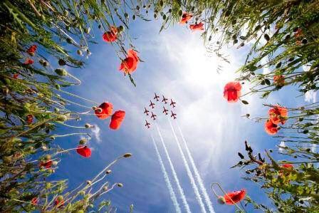 Remembering our fallen who gave their lives in service of our country. #Remembrance   Image: Calvin Taylor Lee