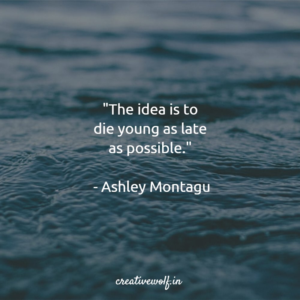 creativewolf_'s tweet photo. Happy weekend. #sunday #quotes https://t.co/Cx0a4h9DIC