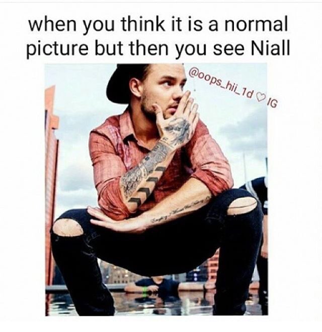 britishirisheh's tweet image. 😂😂😍💖 Reason number 983883383834883 why I love the boys #5DaysUntilMITAM #iloveonedirection