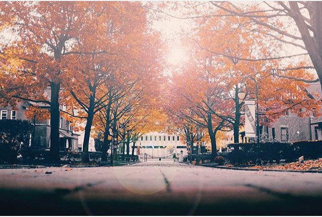 judydleon's tweet photo. 🍁🇨🇦😍 https://t.co/GNvEJG44CH