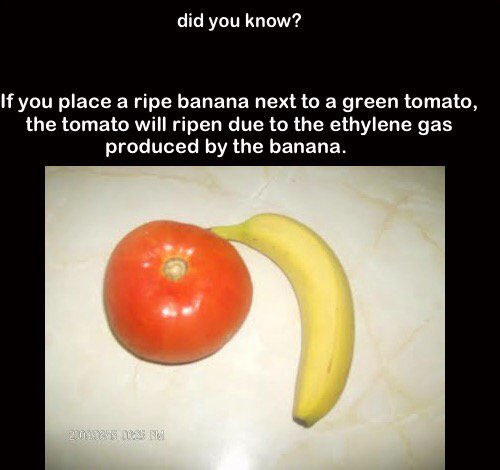 AviCennaInt's tweet photo. Did you know? #Nigeria #naija #lagos #school #education #facts #knowledgeexchange #ikeja https://t.co/zpwmN9TK3h