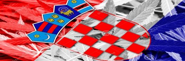 Legal, Ganja Medis di Kroasia!
legalisasiganja.com/legal-ganja-me…
#GanjalahKesehatan