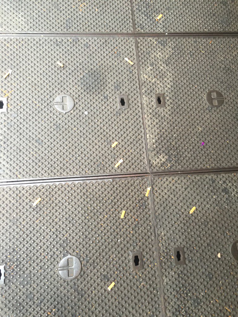 DrCraigEmerson's tweet photo. If people dropped anything other than cigarette butts all over Sydney's streets it'd be called littering. https://t.co/5DmK20Zc87