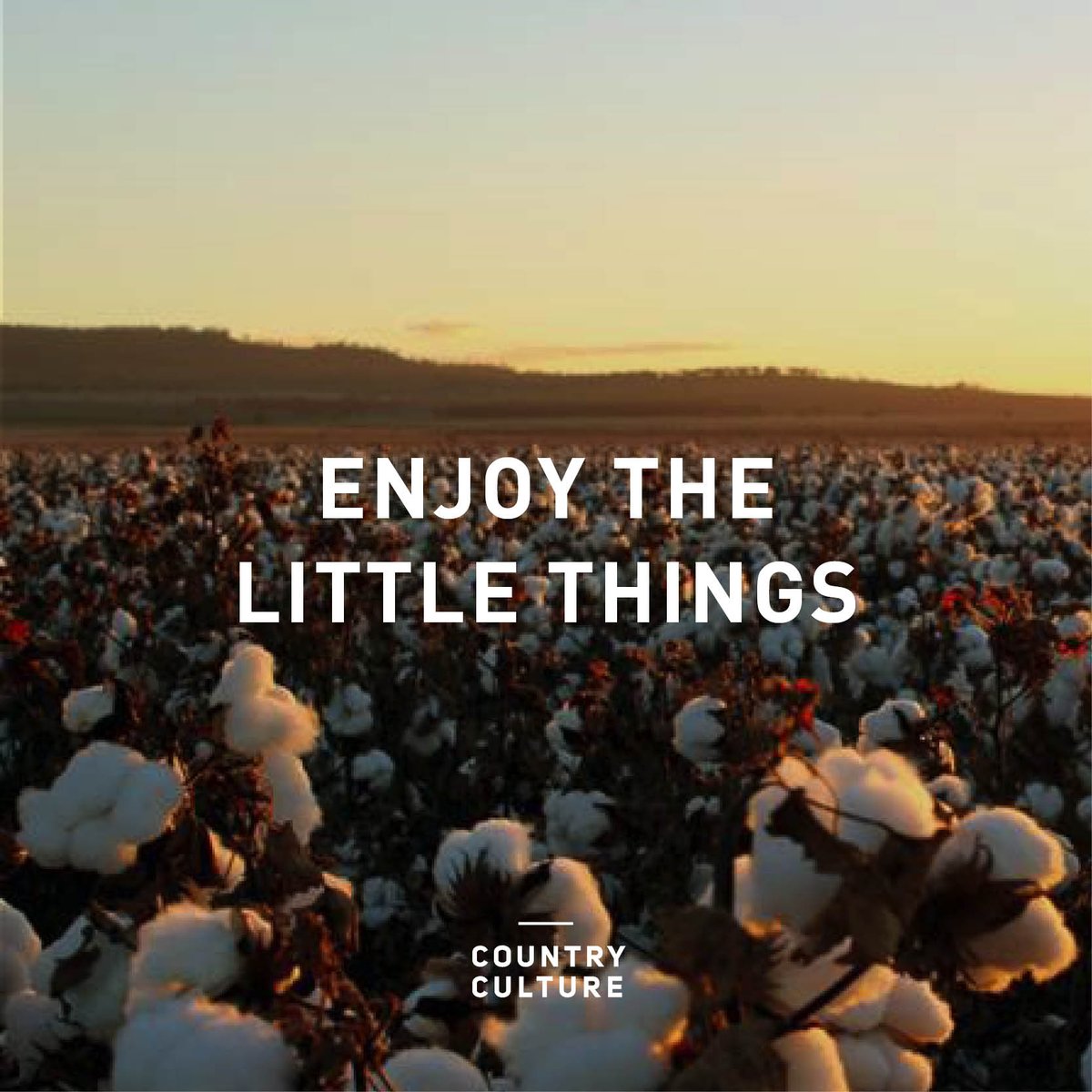 CountryandCo's tweet photo. Enjoy the little things...Happy Sunday. #countryculture https://t.co/UEi7sthdE4