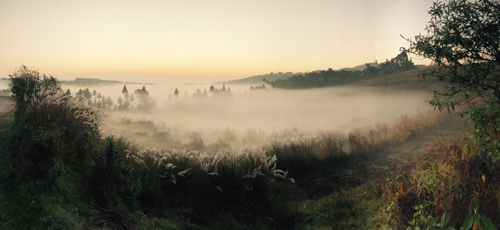 #SurrealMorning #Shillong #RockOn2