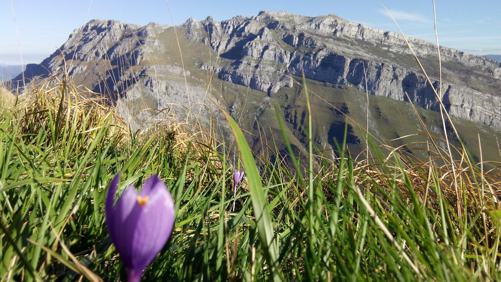 XurdeValea's tweet photo. Llega el otoño! #PeñaRocías desde #FinPR-S9 https://t.co/rVJhrBQgV0