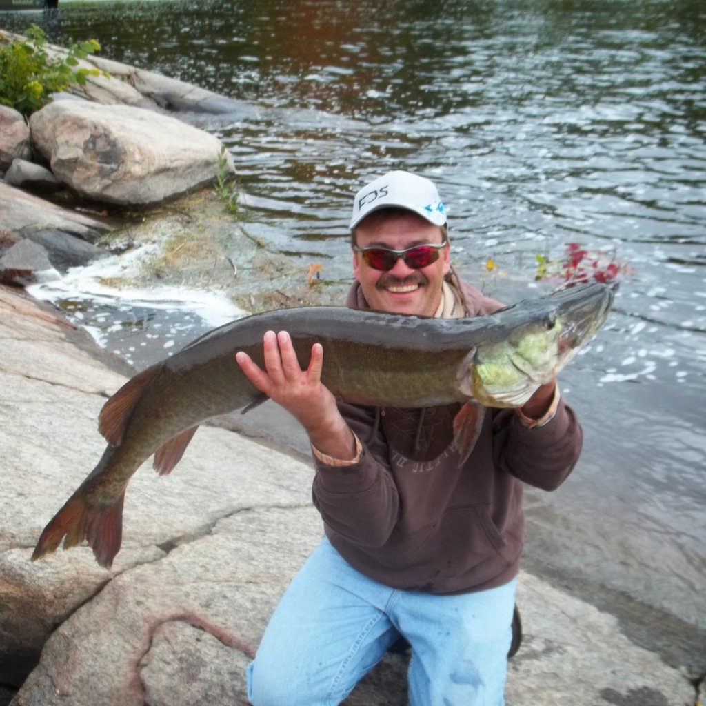 BearsDenFishing's tweet photo. #SummerSunday, looking back to a #highlight on the #frenchriver!
#fishing #muskie #catchnreleased @explorersedge https://t.co/wi3zVD9XC2
