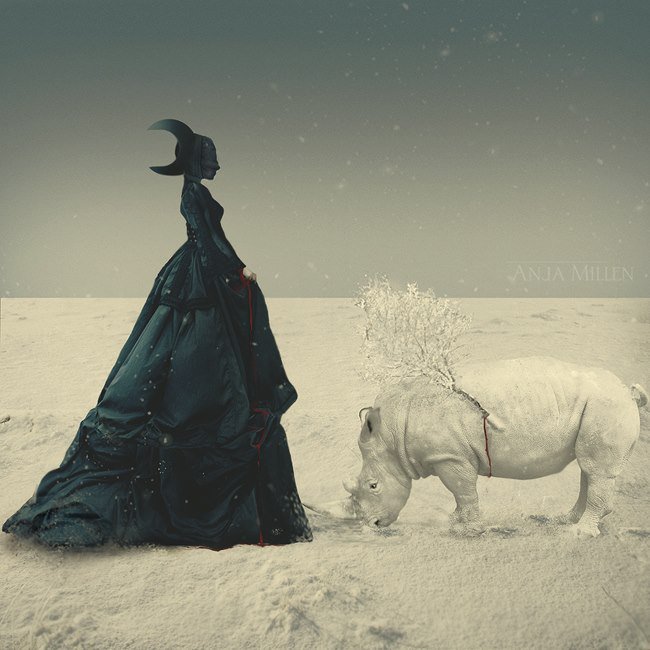 TIGLEAmyJHarris's tweet photo. 🌑♏ New Moon Scorpio Wednesday 11/11/15***Sit still with your soul and DEEPLY desire... https://t.co/98ZL95OBvr ❤Amy❤ https://t.co/URO03vxPnG