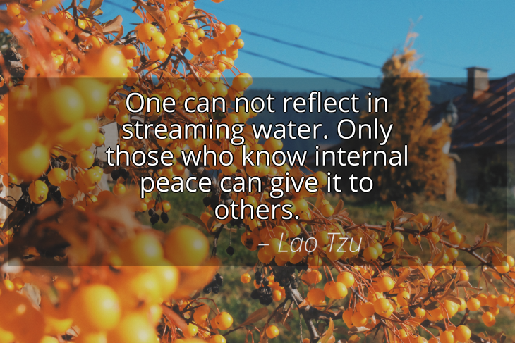 quotastic_me's tweet photo. https://t.co/UXeVJzeMLK #LaoTzu #inspirational #quote #quotastic https://t.co/qeFi7BdK7p