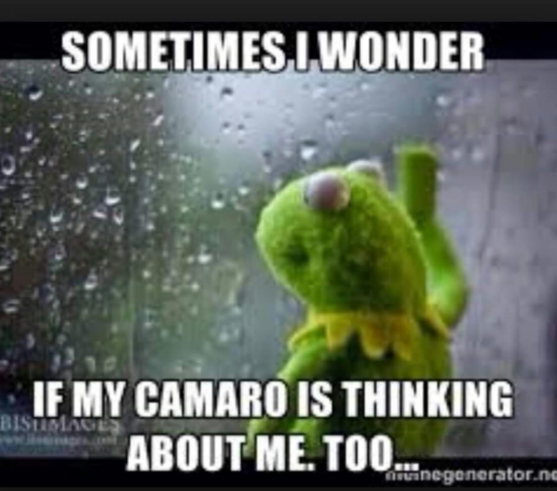 Gratuit Images Stoplightracin Hashtag On Twitter dernière salutations