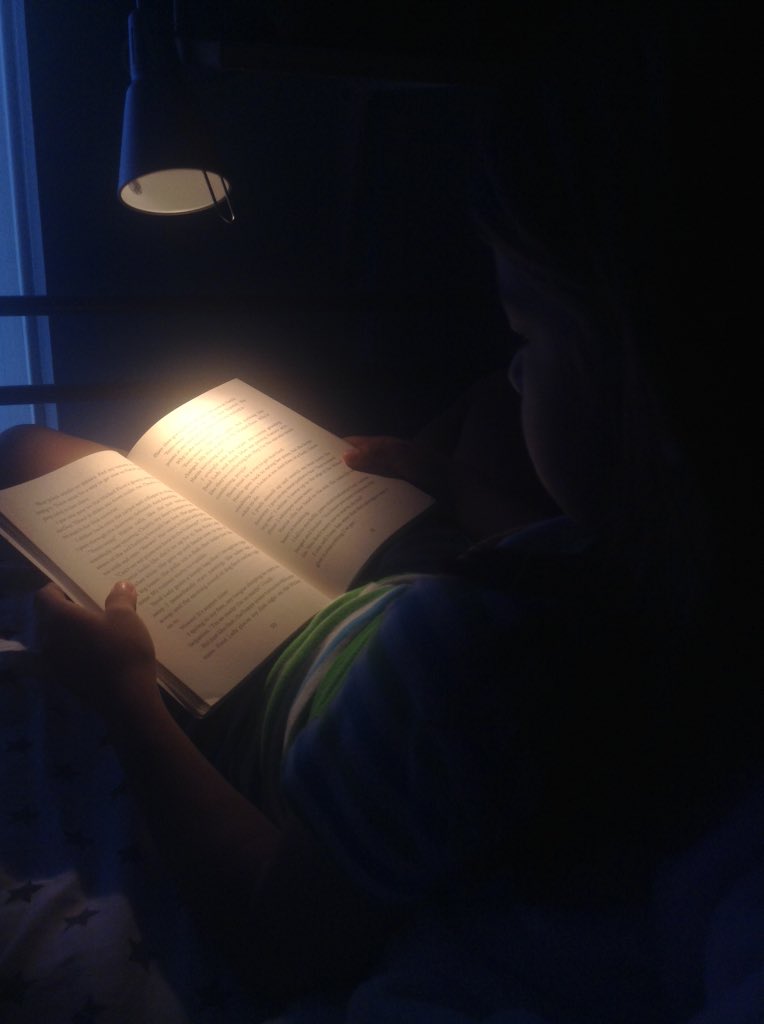drromero_'s tweet photo. @victoriajcoe she can't seem to put it down!! Thank you! #fenwayandhattie #areader #lovestoread #readinganywhere https://t.co/nwEZ1ArsQa