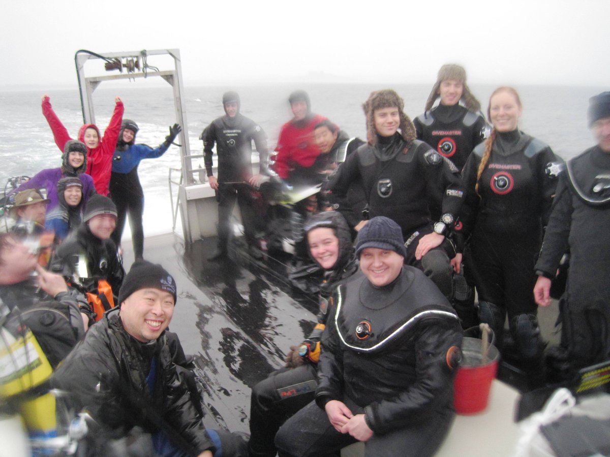 Sealdiver's tweet photo. @MUSACdiving at #Farnes with @farnesdiving @mickycraig999 &amp; my dive #buddies https://t.co/LyFvbFNzg1