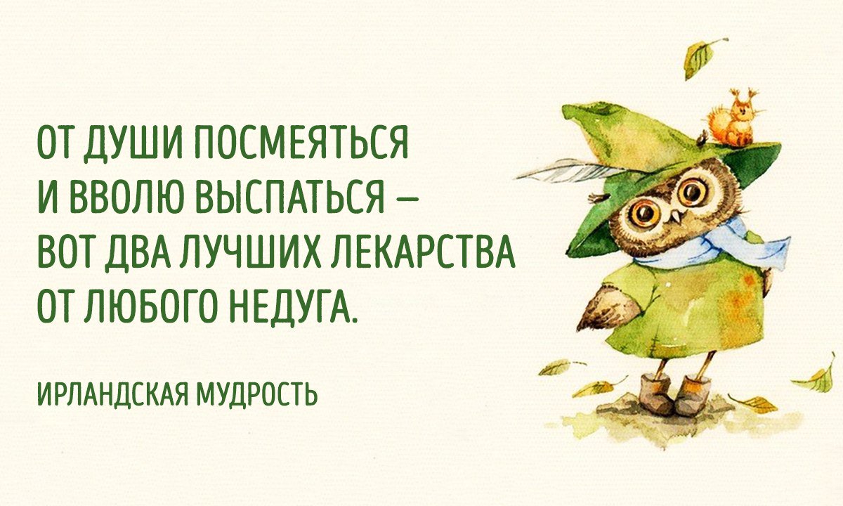 adme_ru's tweet photo. Ирландской мудрости пост: https://t.co/NTDWM1Hl8Z

Ах, как они правы 😂 https://t.co/D2LGKIiCAi