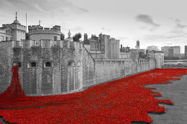 Grouptraderbiz's tweet photo. @TheGrouptrader Painting the Tower Red - One Year On https://t.co/NSJLafUFvv #grouptrader #RemembranceDay2015 https://t.co/1f6DxwsJKJ