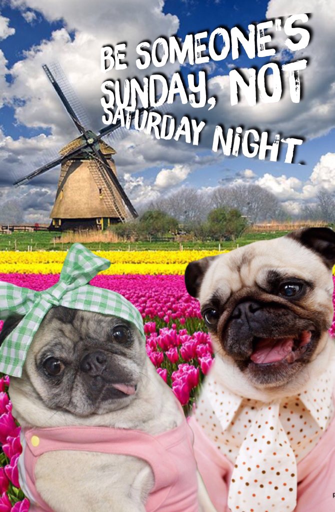 UnityEagle's tweet photo. Wish you all a beautiful Sunday and remember be someone's Sunday and not Saturday night. https://t.co/Af2tvhJ1HA