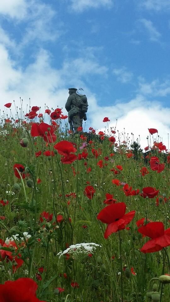 ACETESTING's tweet image. 