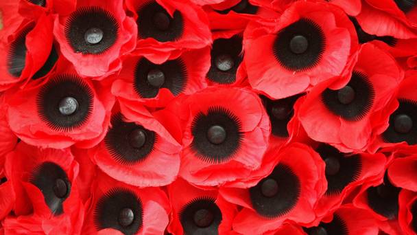 IdeasRusholme's tweet photo. Tis Remembrance Day... https://t.co/0gICTroCL4