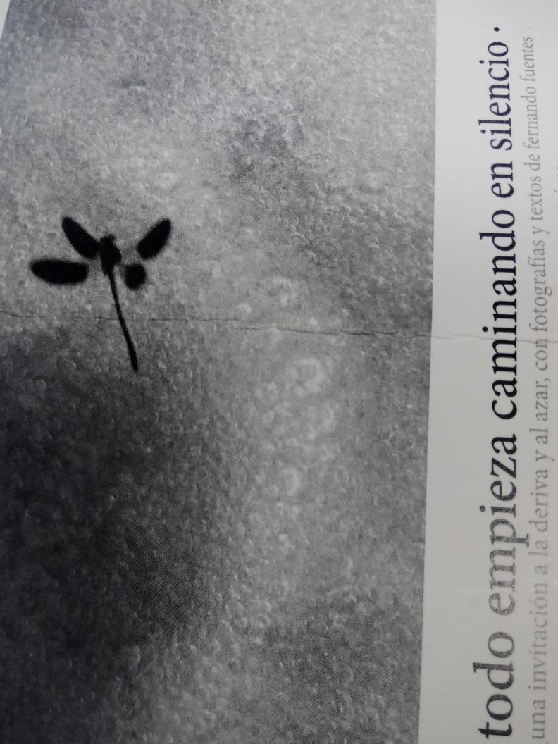 Gran Expo de Fernando Fuentes en el Zorrilla de Valladolid .Siguela en el 24 Horas de TVE