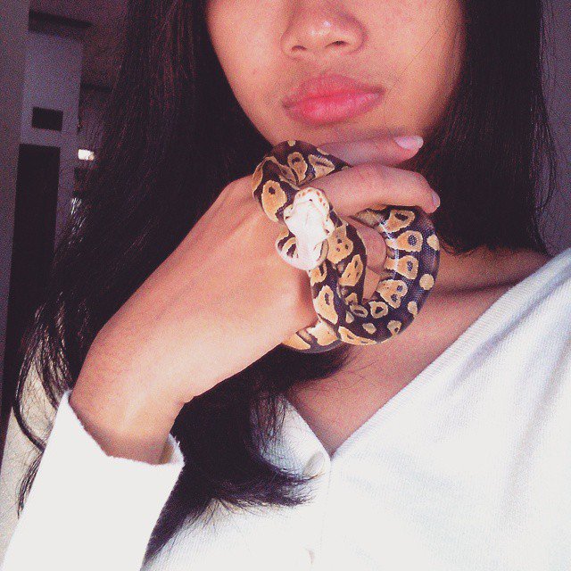 How does it feels if she brings the snake to the stage?