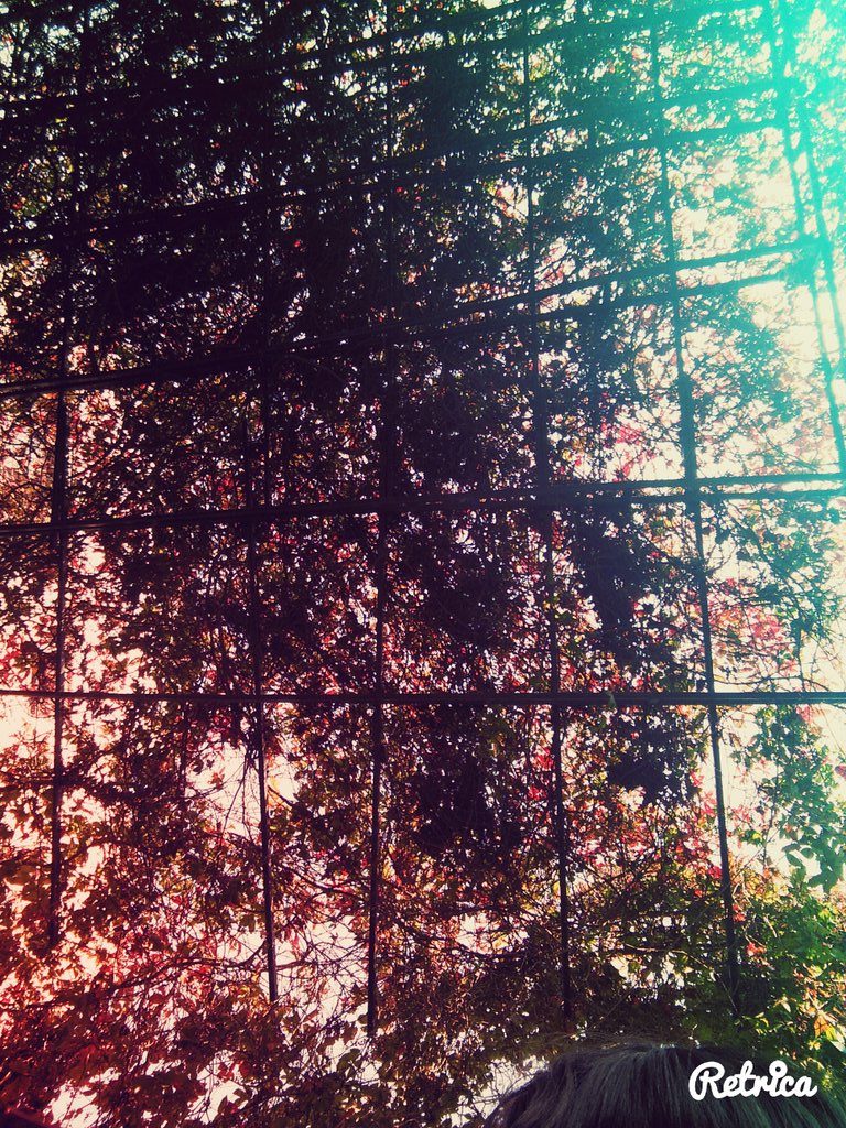 Renkli rüyalar 😁💞💞