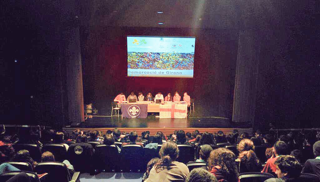 AEiGFlosiCalcat's tweet photo. Aquest diumenge som presents a l'#Assemblea15 de la @demgirona!! #totssomgirona #femcau #comiats #femescoltisme https://t.co/bbaPhknwDi