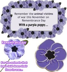 Dogs Needing Love (@dogsneedinglove) on Twitter photo 