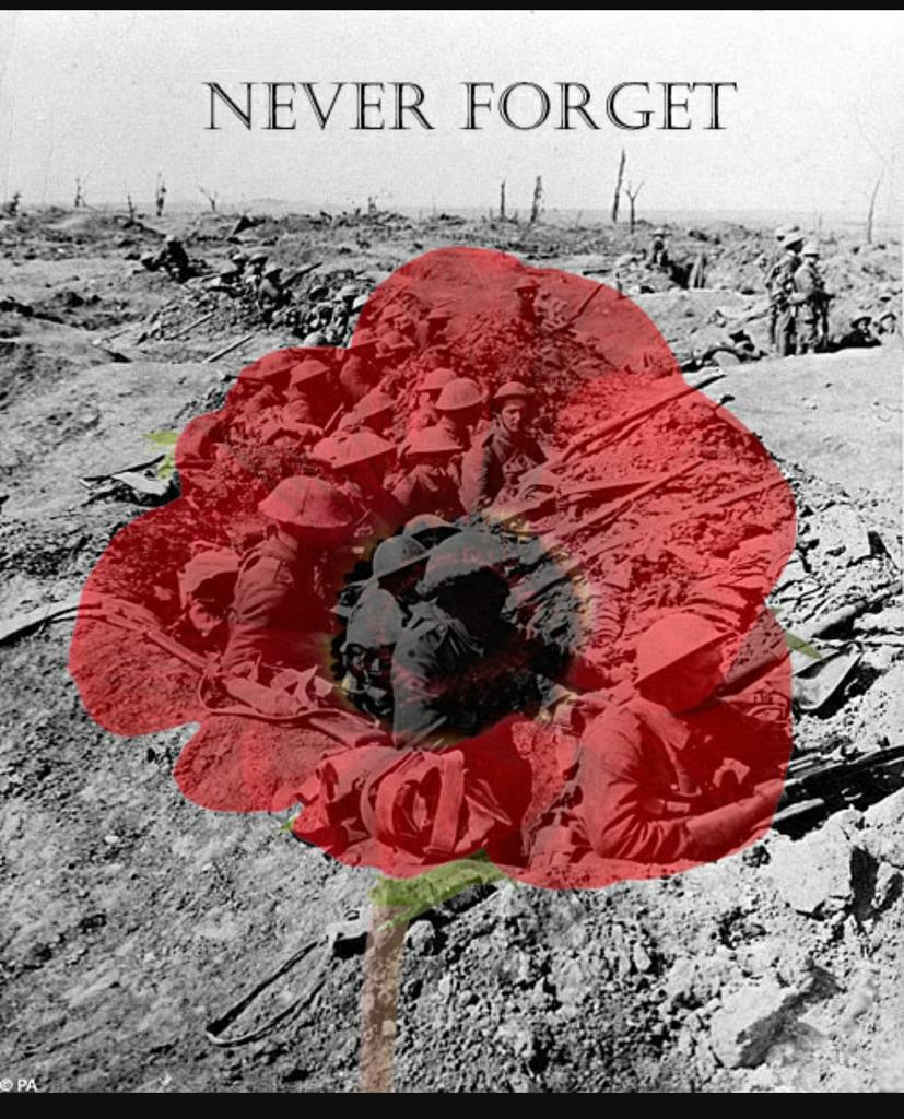 tracynut's tweet image. 