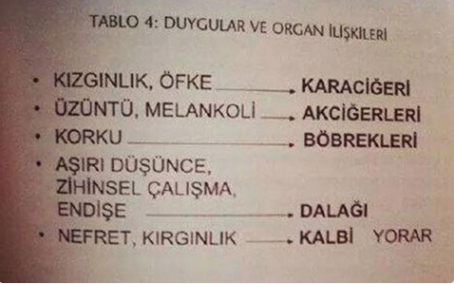Duyguların bağlantılı olduğu organlar