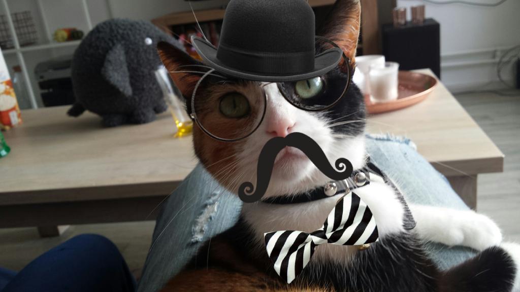 Riiannneke's tweet photo. Really? This is funny to you?? I'm a girl mom don't be so silly! 👸😽🙇😍❤ hihi #picfun #teasing #dressup #notamused https://t.co/7ytW9DiCUw