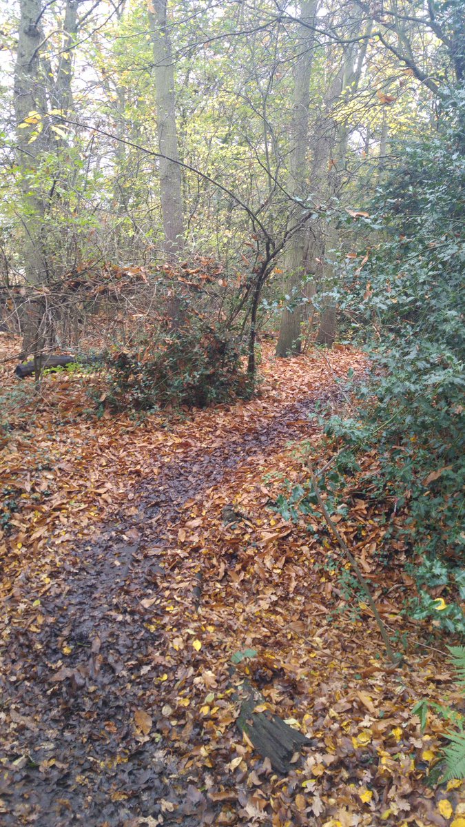 ishealadorwhat's tweet photo. #runinthemud https://t.co/pro3vk3hnX