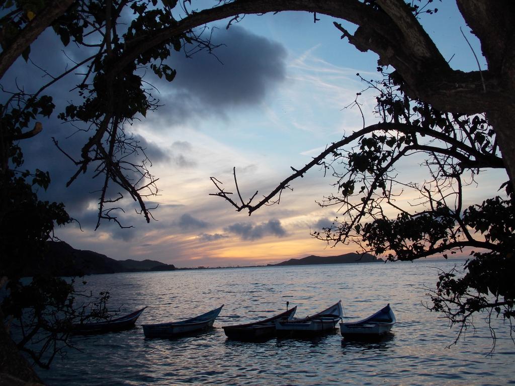 Luisjleon's tweet photo. Rio Caribe,  Edo Sucre. #venezuela https://t.co/lP87eujjGh