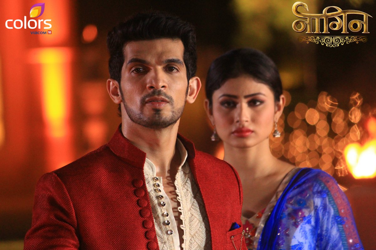 Naagin Written Update 08Nov2015 | 4507863 | Naagin Forum